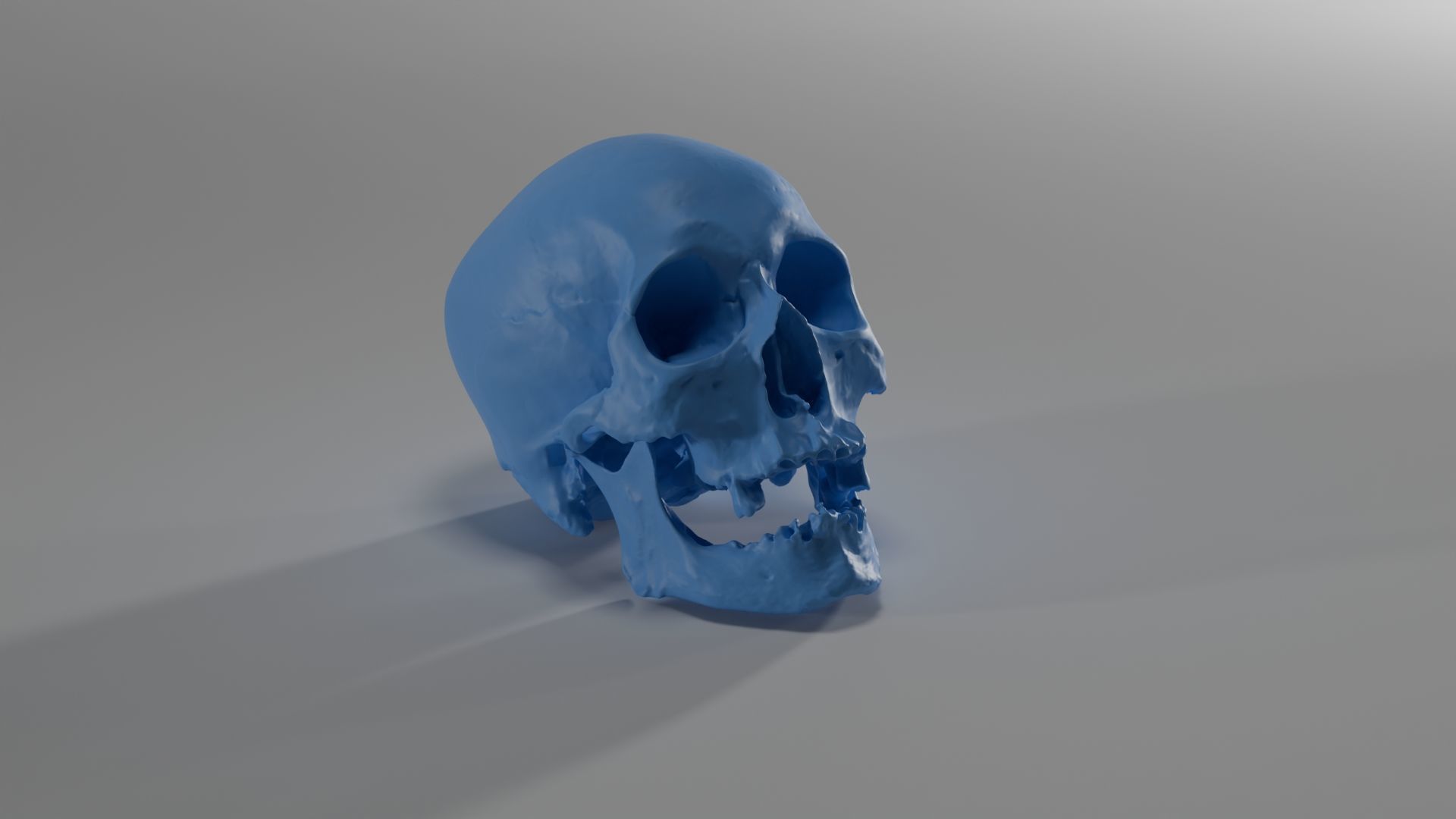 Realistic skull of elderly man Low-poly 3D model_1