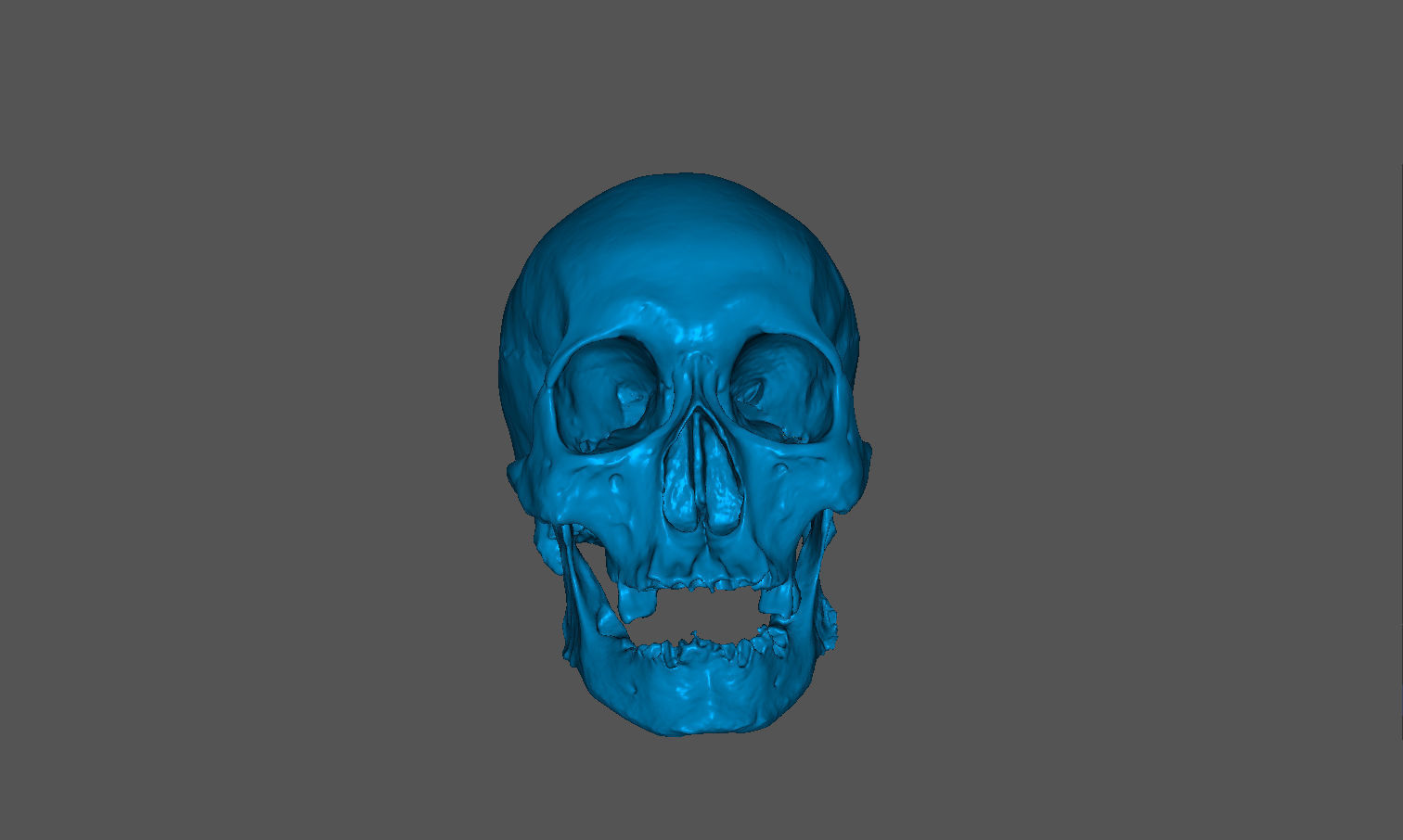 Realistic skull of elderly man Low-poly 3D model_3