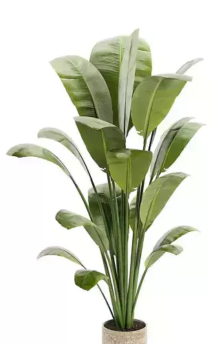 Artificial Bird Of Paradise Plant Tree