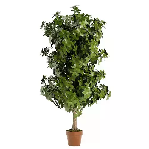 Faux Foliage Tree in Pot