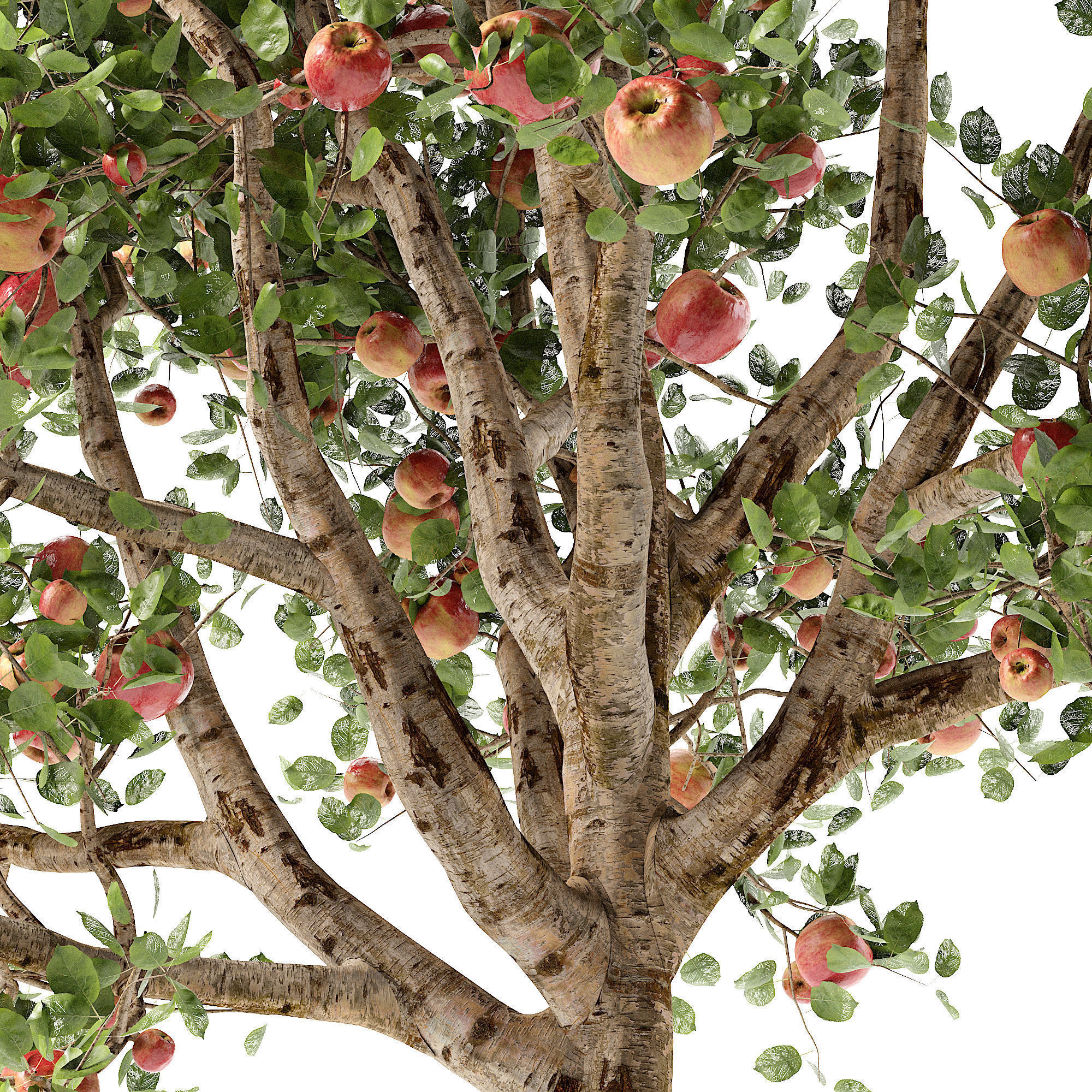 Apple tree Low-poly 3D model_3