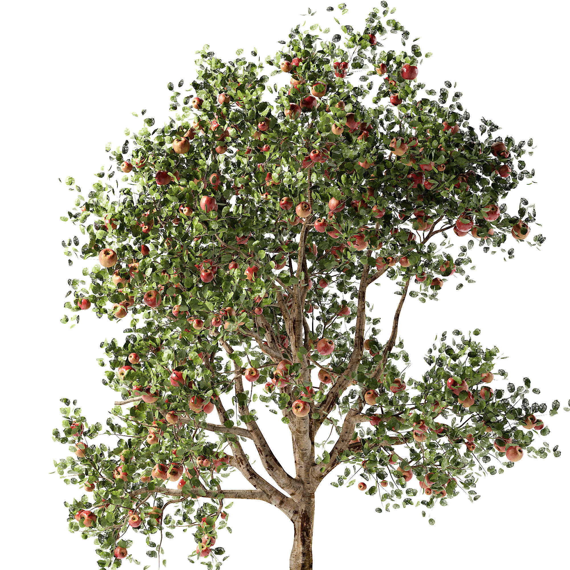 Apple tree Low-poly 3D model_2