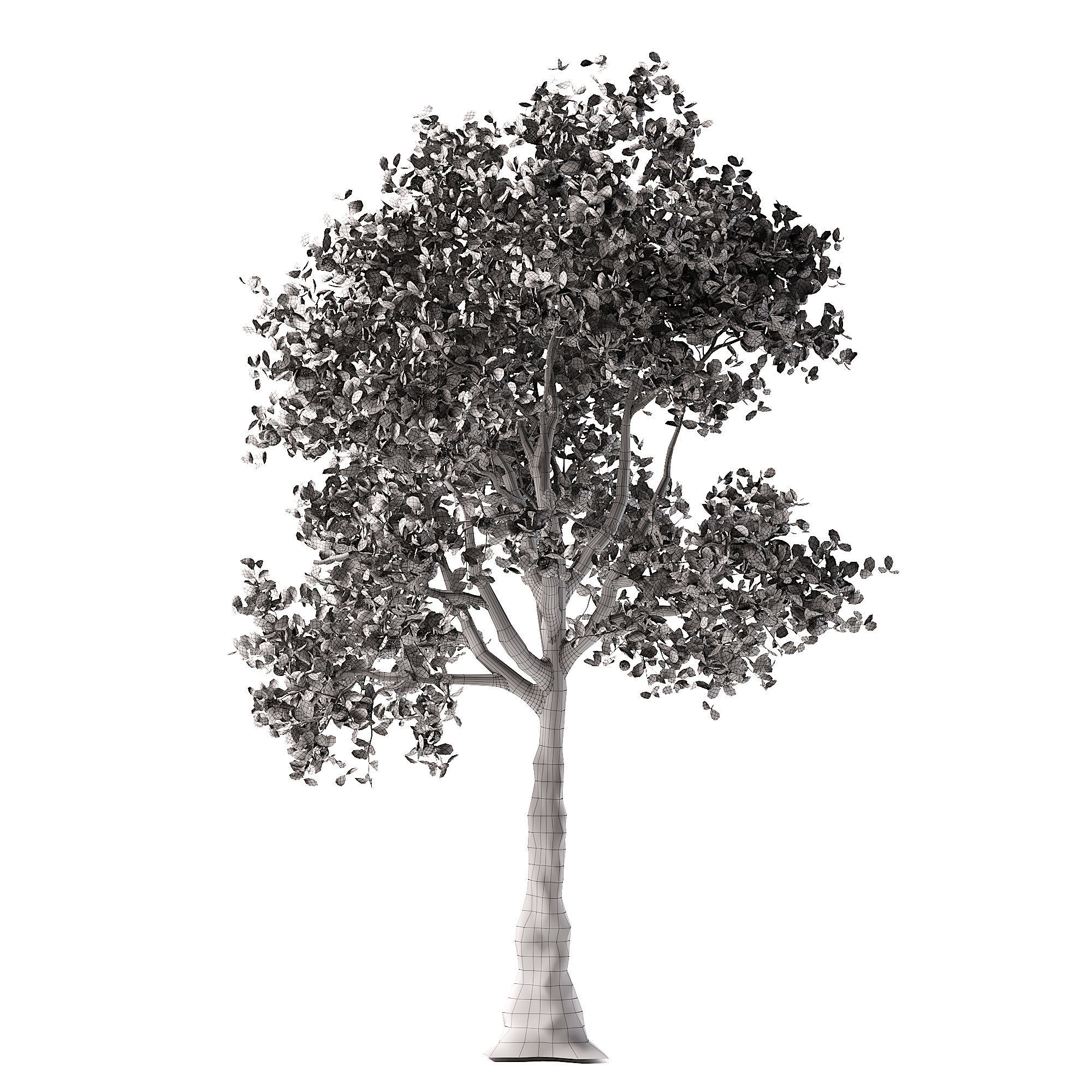 Apple tree Low-poly 3D model_4