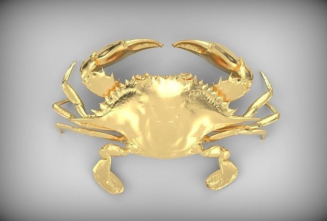 Sea crab 3D 3D print model