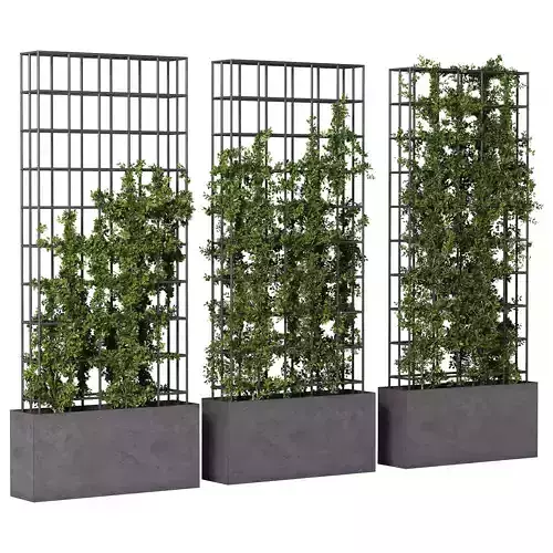 Vertical Garden Partiton plants 05