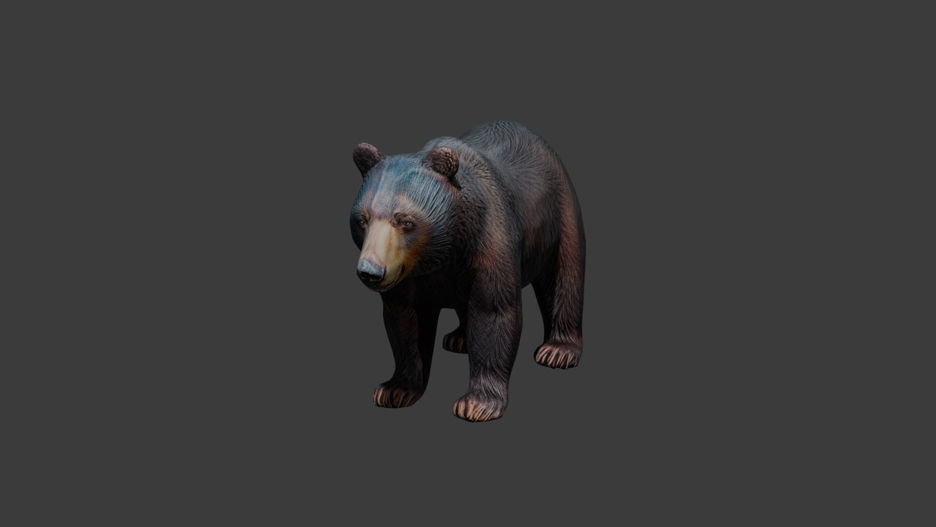 Black Bear 3d Model Low-poly 3D model_1