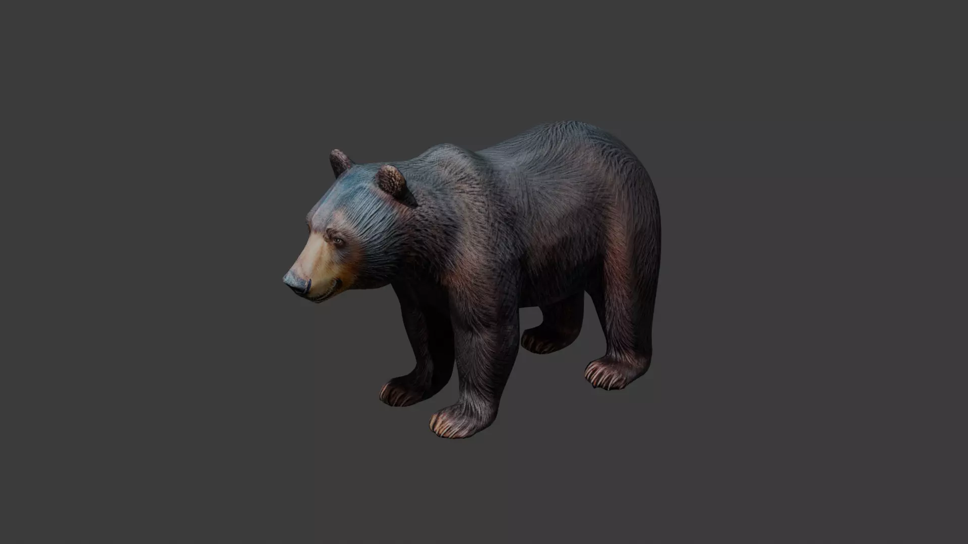 Black Bear 3d Model Low-poly 3D model_0
