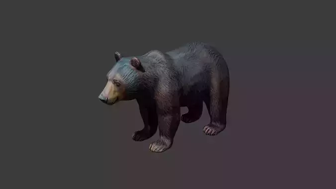 Black Bear 3d Model