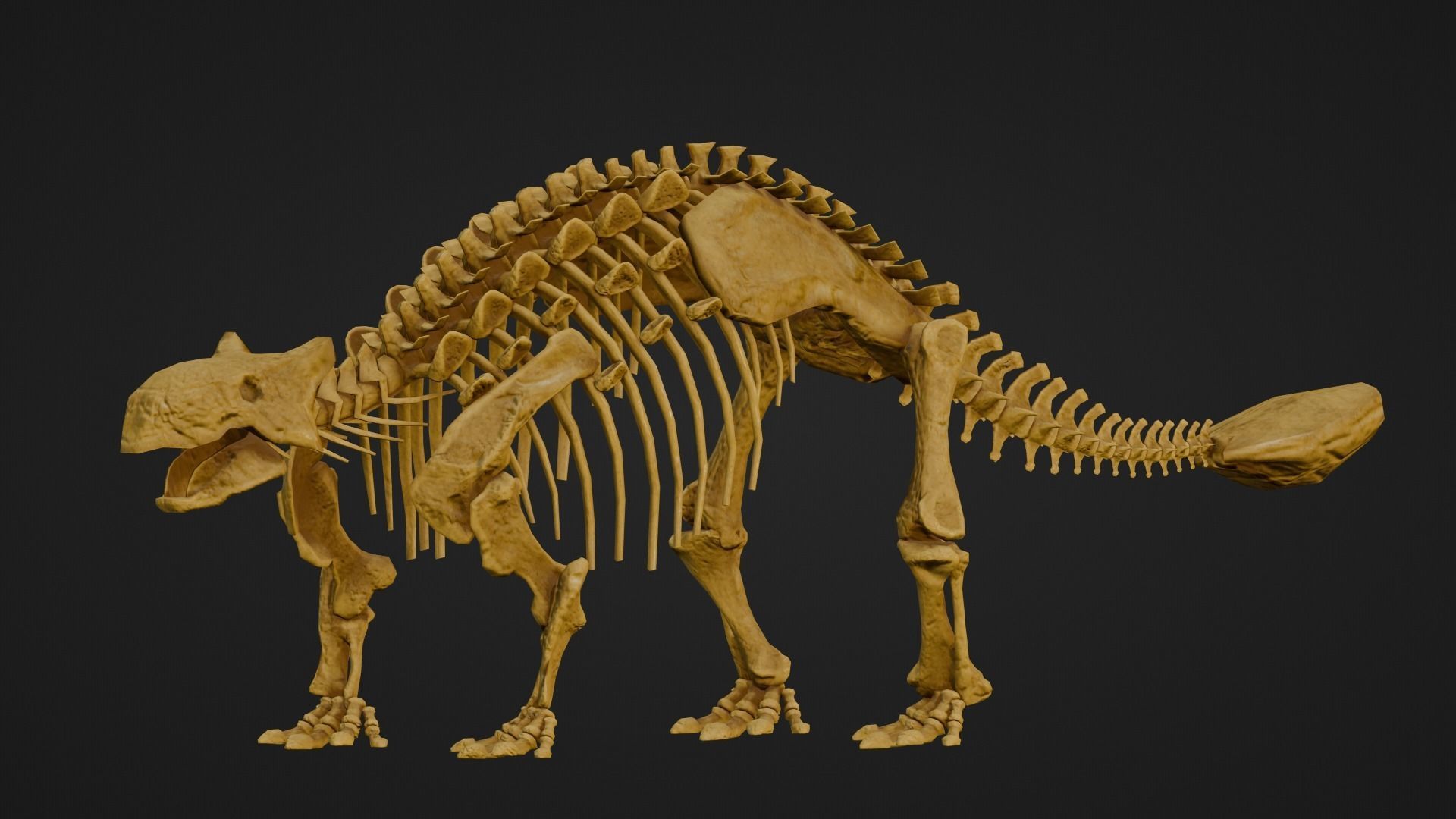 Realistic Ancient Reptilians Fossil - Ankylosaurus Low-poly 3D model_9