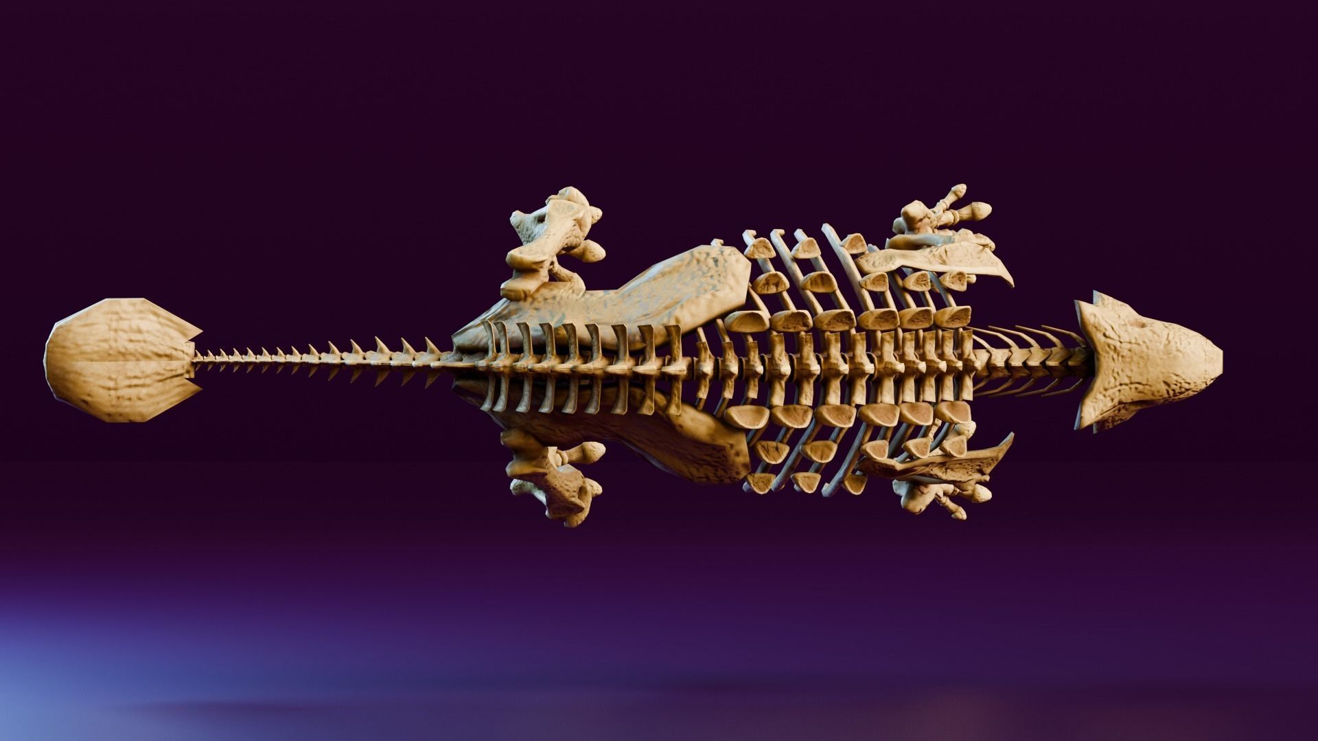 Realistic Ancient Reptilians Fossil - Ankylosaurus Low-poly 3D model_4