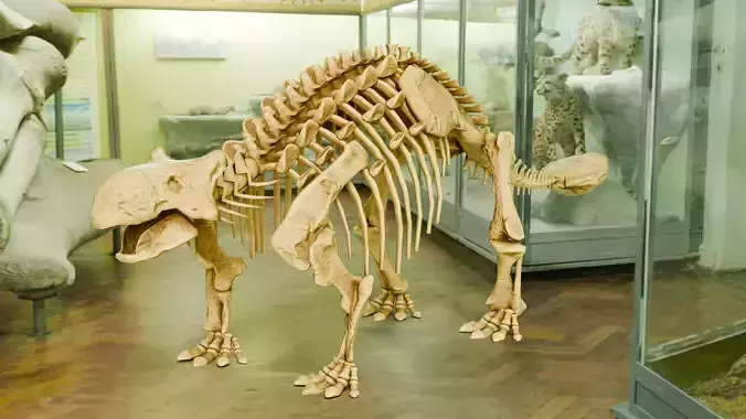 Realistic Ancient Reptilians Fossil - Ankylosaurus Low-poly 3D model