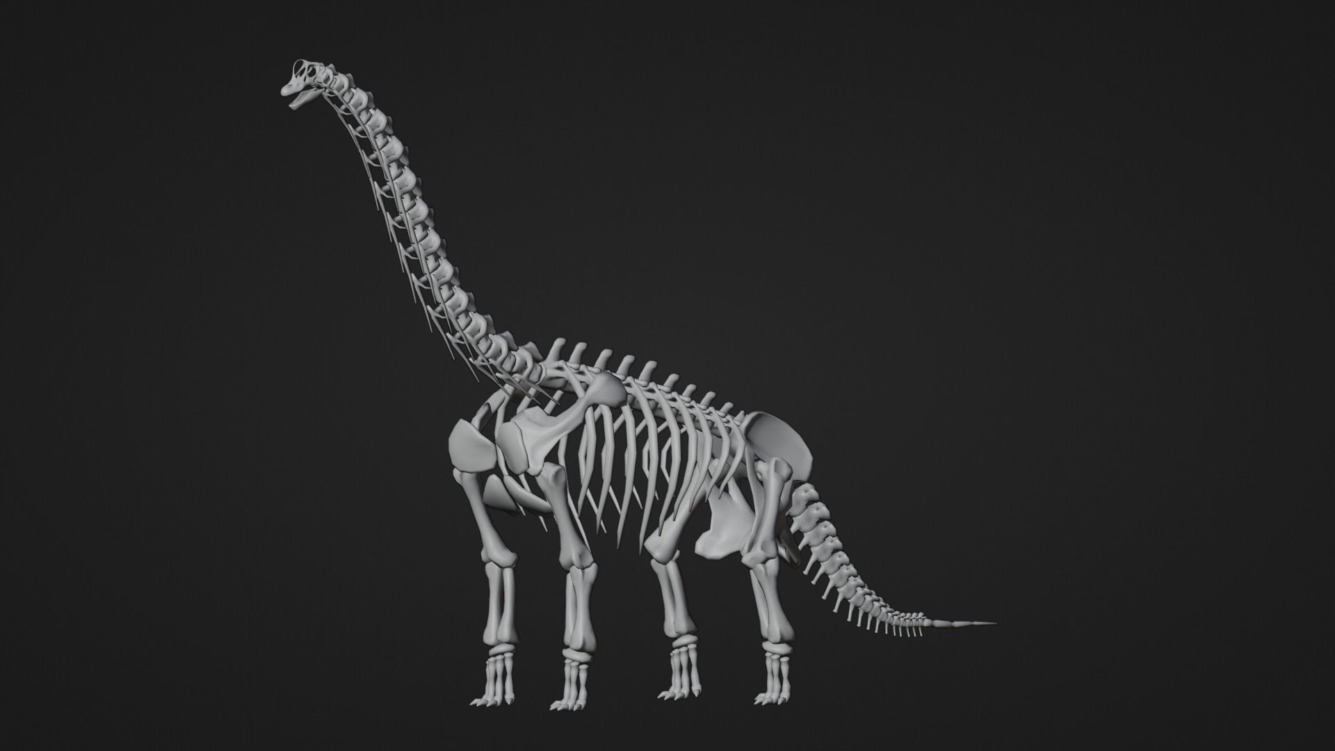 Realistic Ancient Reptilians Fossil - Brachiosaurus Low-poly 3D model_8