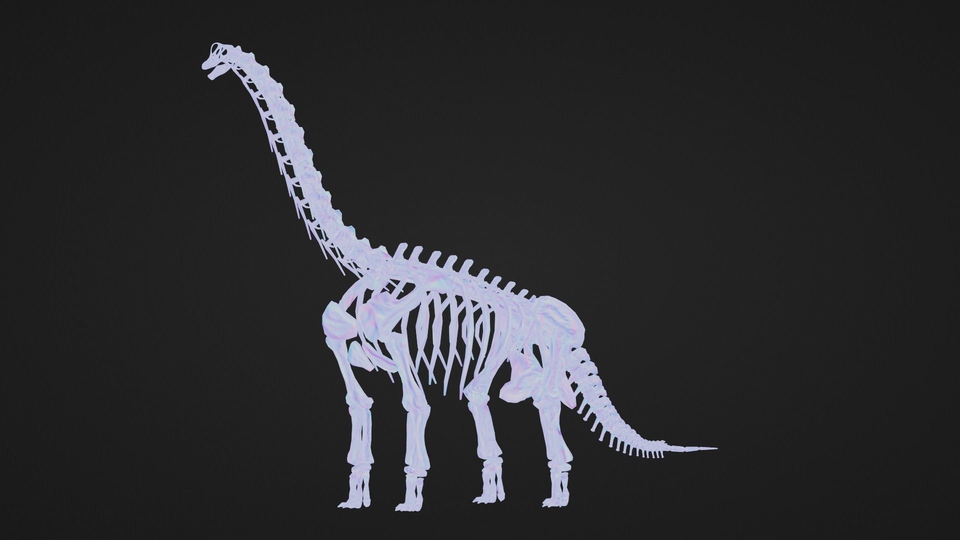 Realistic Ancient Reptilians Fossil - Brachiosaurus Low-poly 3D model_7
