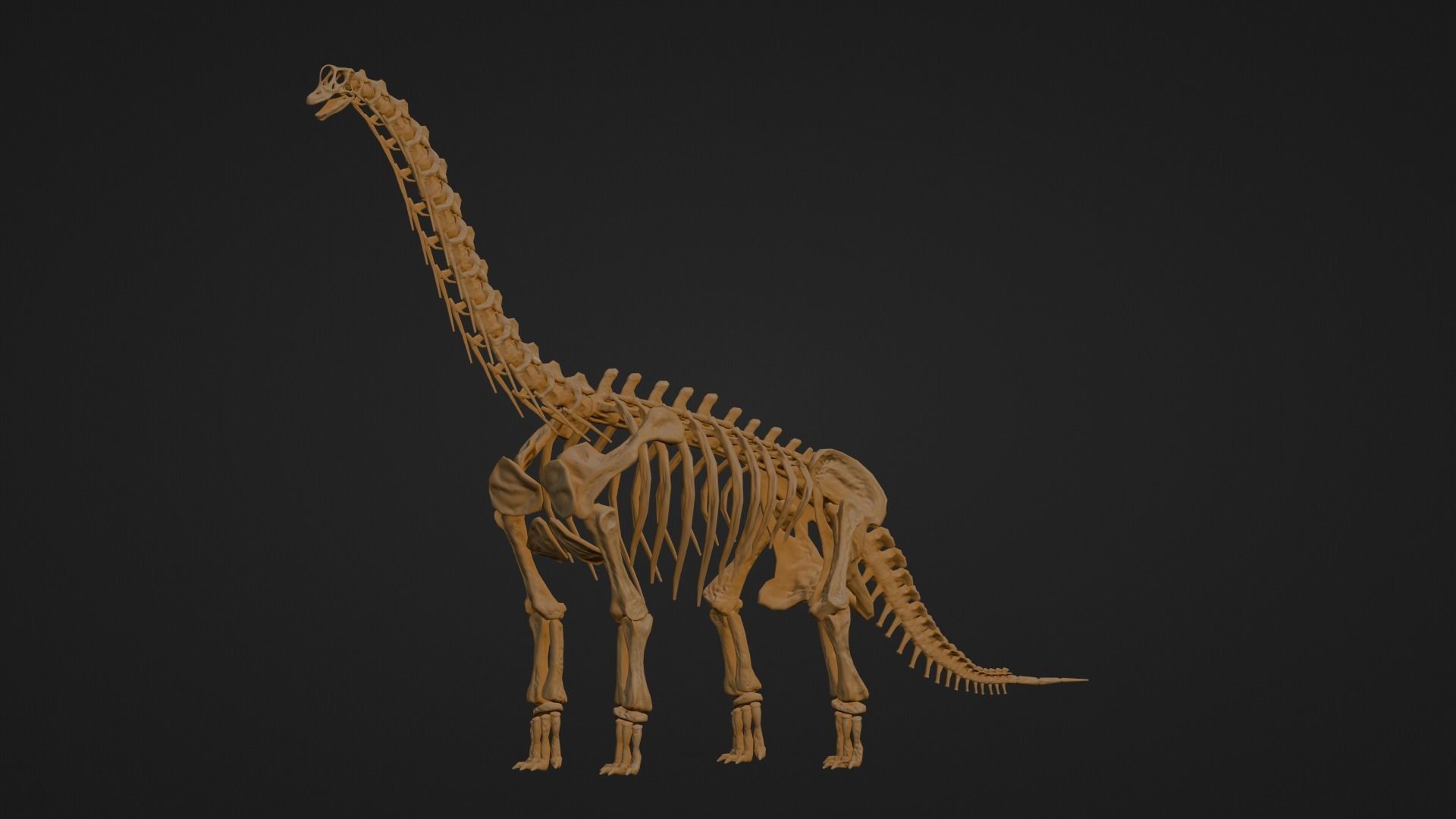 Realistic Ancient Reptilians Fossil - Brachiosaurus Low-poly 3D model_6