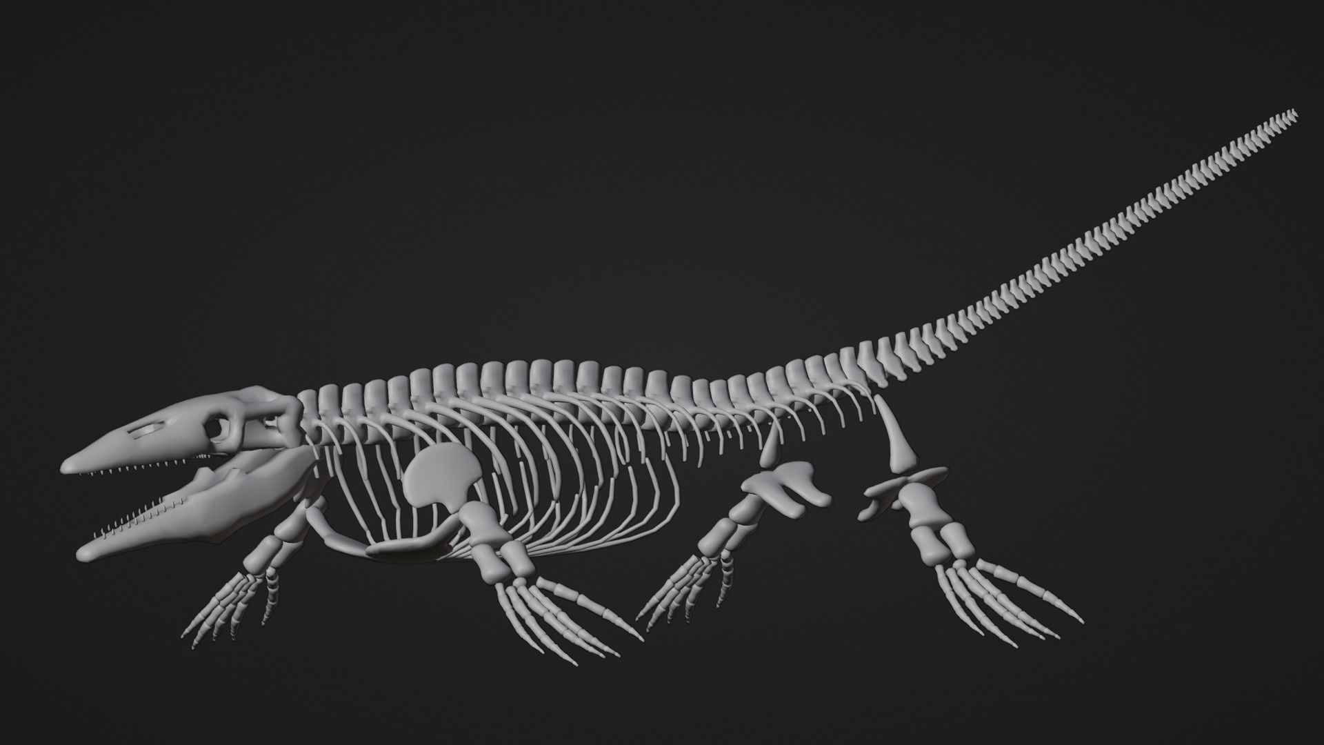 Realistic Ancient Reptilians Fossil - Mosasaurus Low-poly 3D model_9