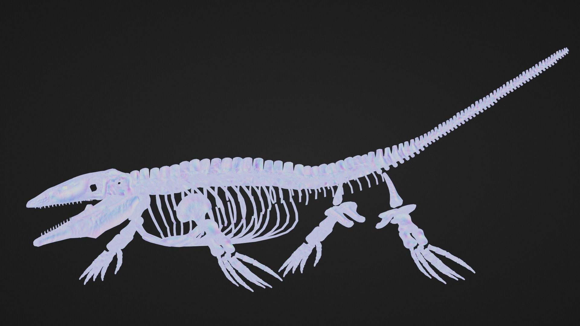 Realistic Ancient Reptilians Fossil - Mosasaurus Low-poly 3D model_7