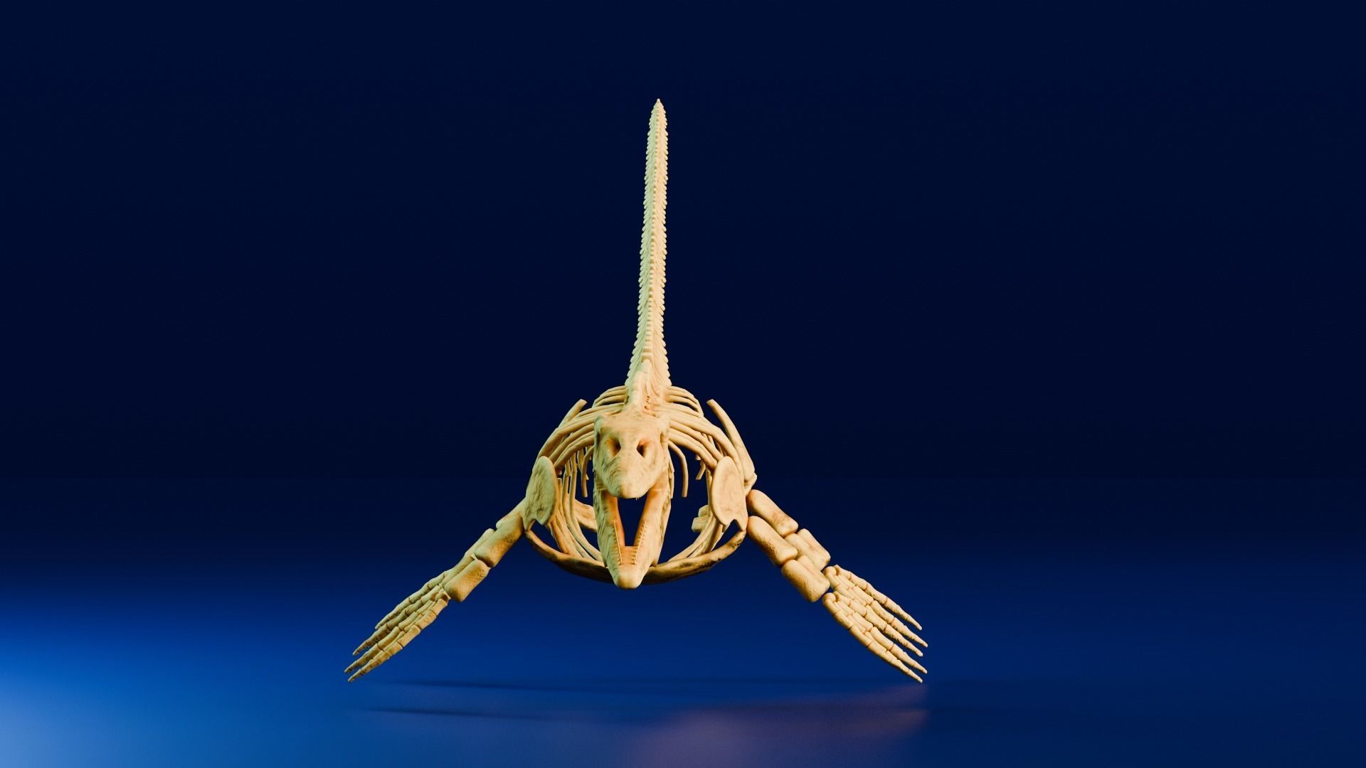 Realistic Ancient Reptilians Fossil - Mosasaurus Low-poly 3D model_4