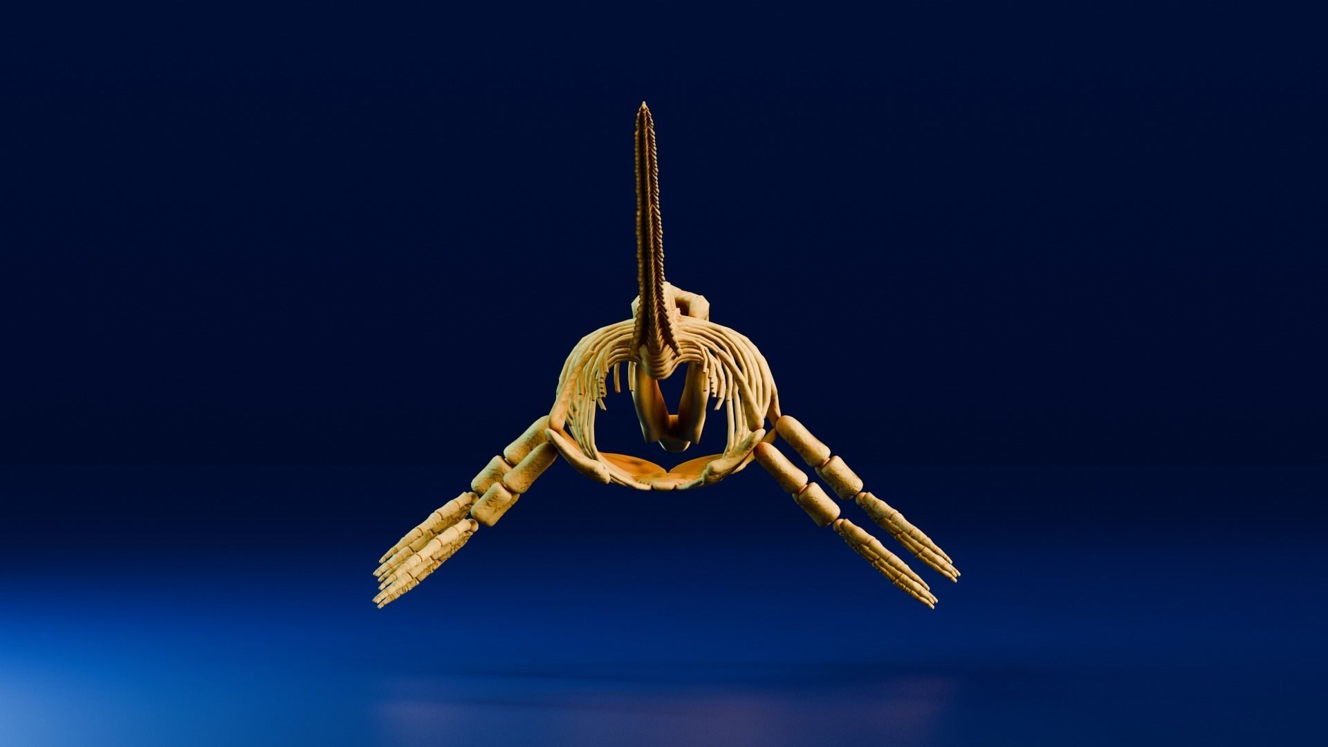 Realistic Ancient Reptilians Fossil - Mosasaurus Low-poly 3D model_5