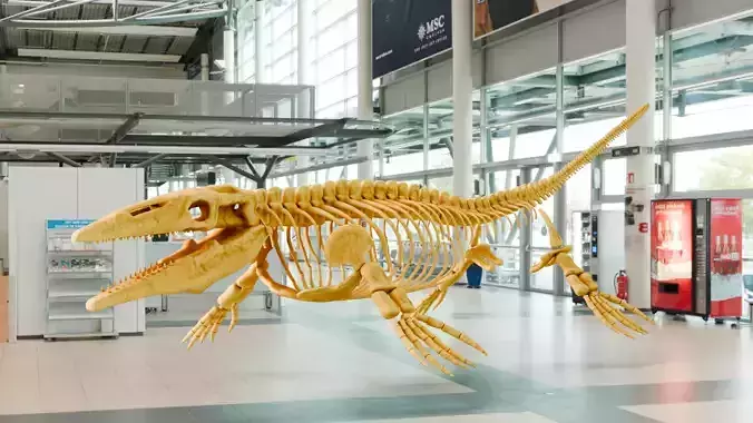 Realistic Ancient Reptilians Fossil - Mosasaurus Low-poly 3D model
