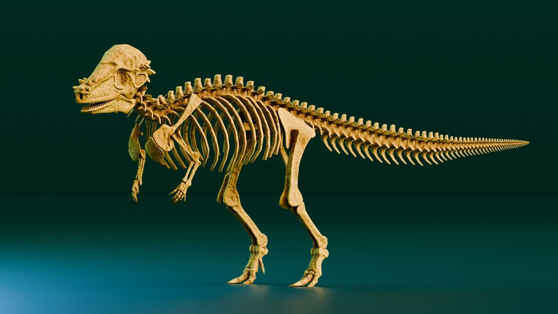 Realistic Ancient Reptilians Fossil - Pachycephalosaurus Low-poly 3D model_2
