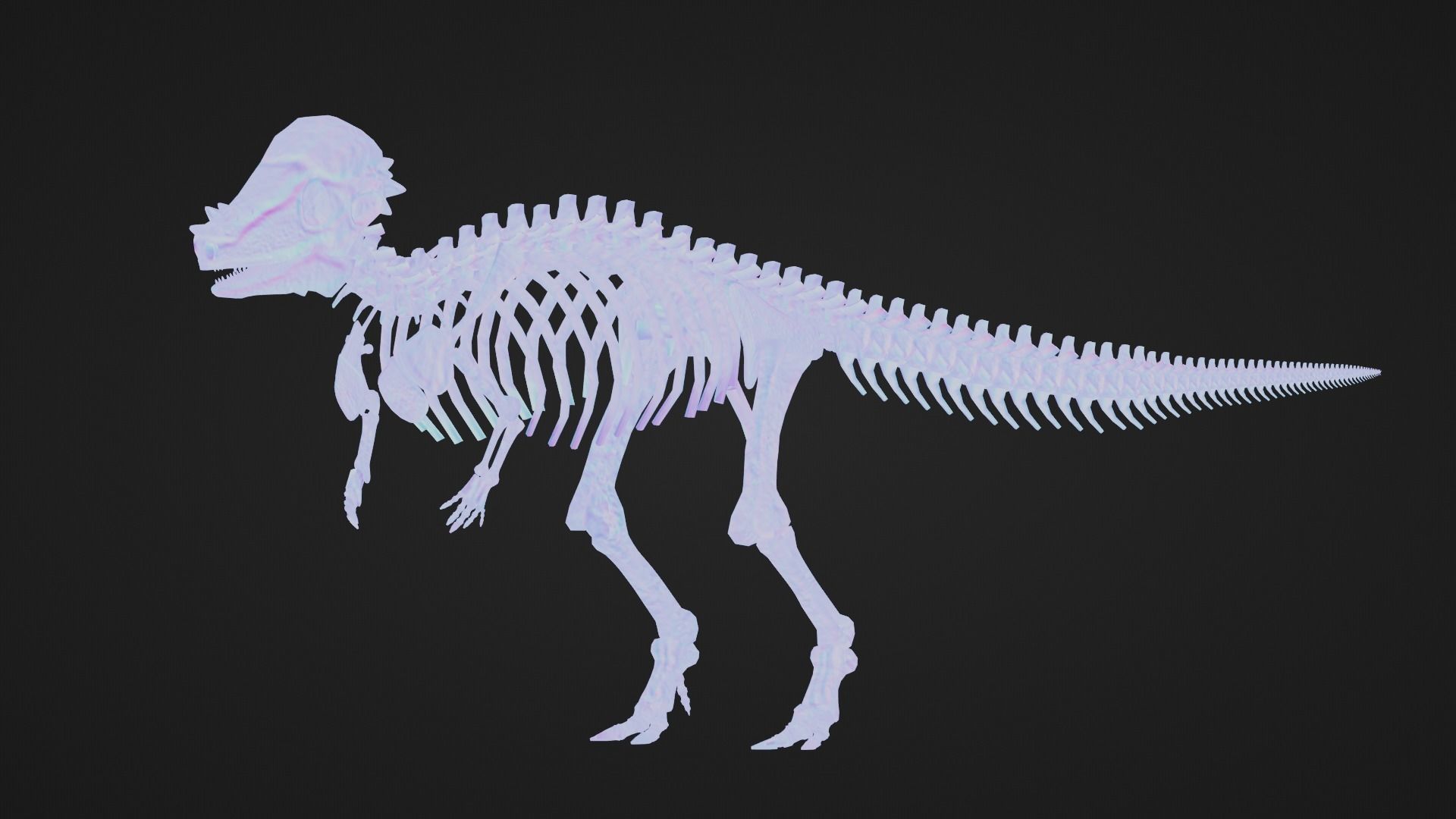 Realistic Ancient Reptilians Fossil - Pachycephalosaurus Low-poly 3D model_8