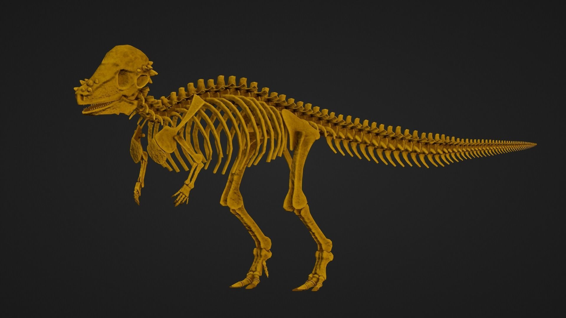 Realistic Ancient Reptilians Fossil - Pachycephalosaurus Low-poly 3D model_7