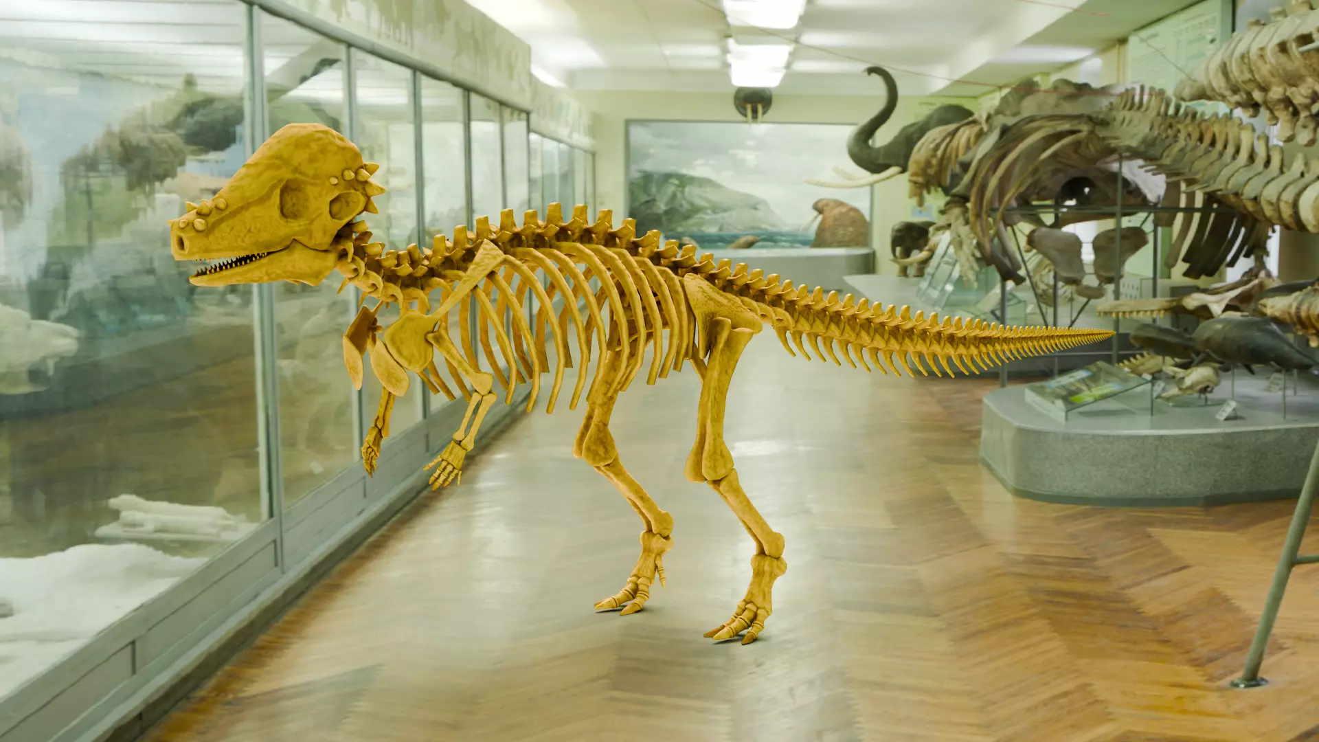 Realistic Ancient Reptilians Fossil - Pachycephalosaurus Low-poly 3D model_0