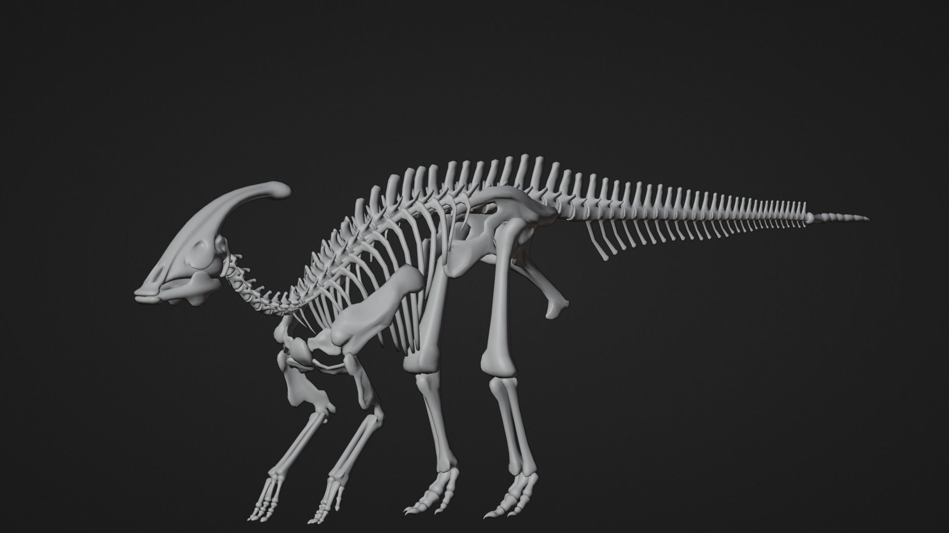 Realistic Ancient Reptilians Fossil - Parasaurus Low-poly 3D model_8