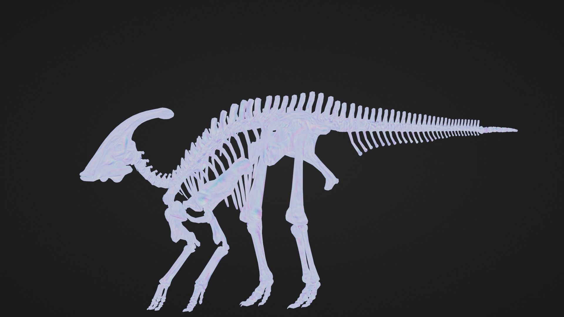 Realistic Ancient Reptilians Fossil - Parasaurus Low-poly 3D model_7