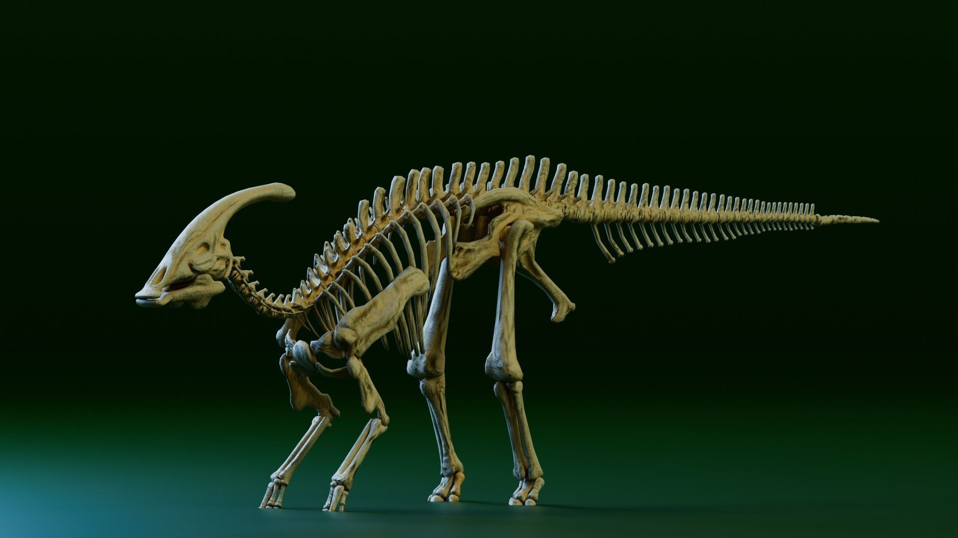 Realistic Ancient Reptilians Fossil - Parasaurus Low-poly 3D model_1
