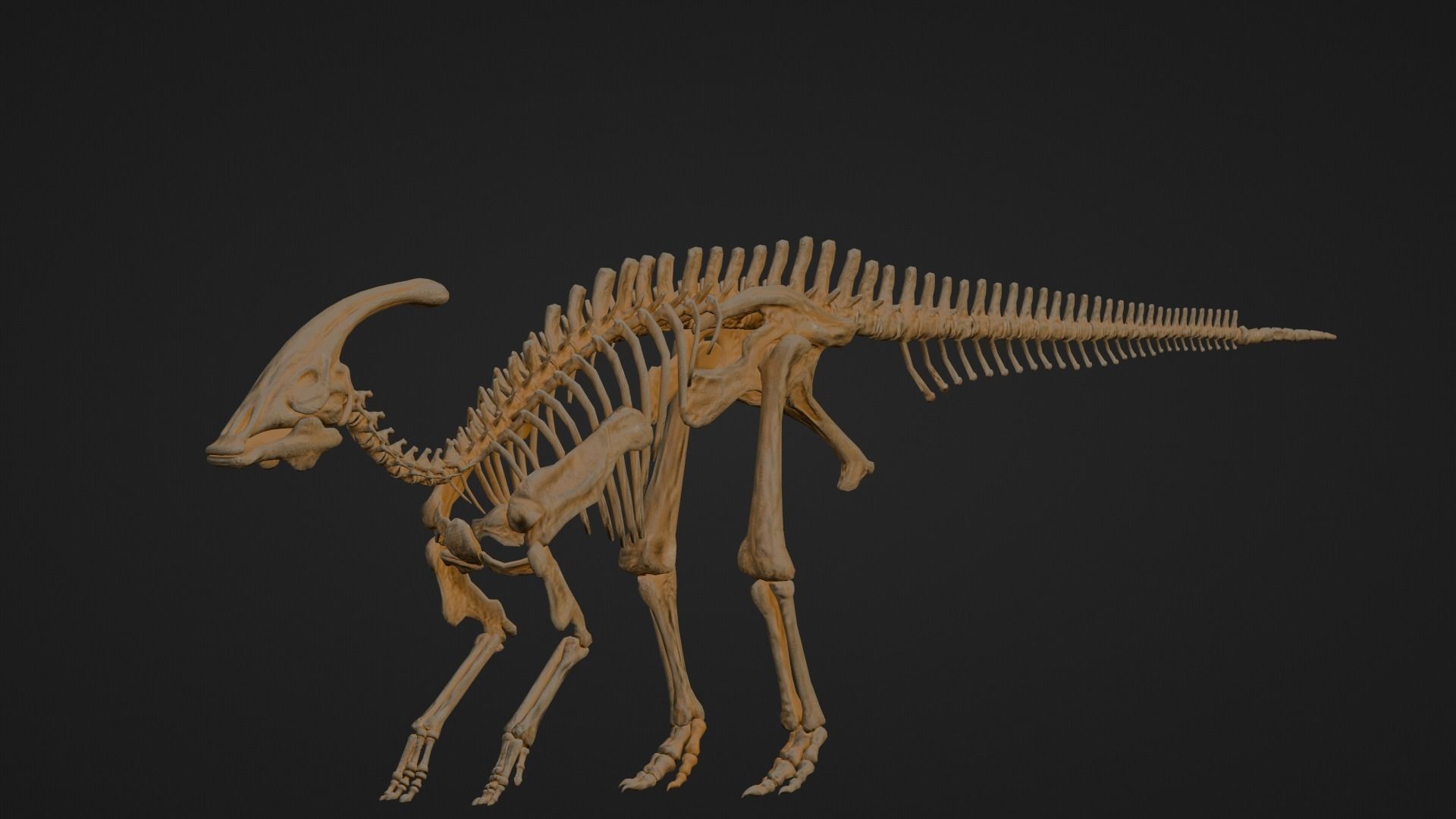Realistic Ancient Reptilians Fossil - Parasaurus Low-poly 3D model_5