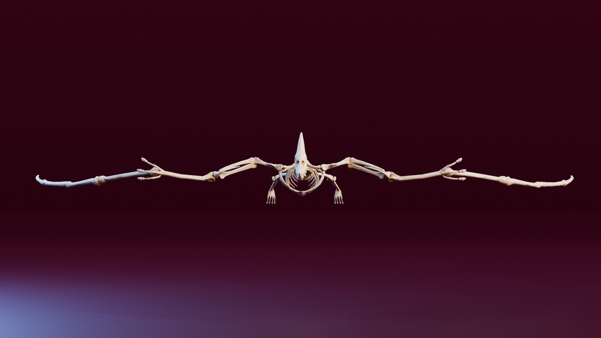 Realistic Ancient Reptilians Fossil - Pteranodon Low-poly 3D model_5