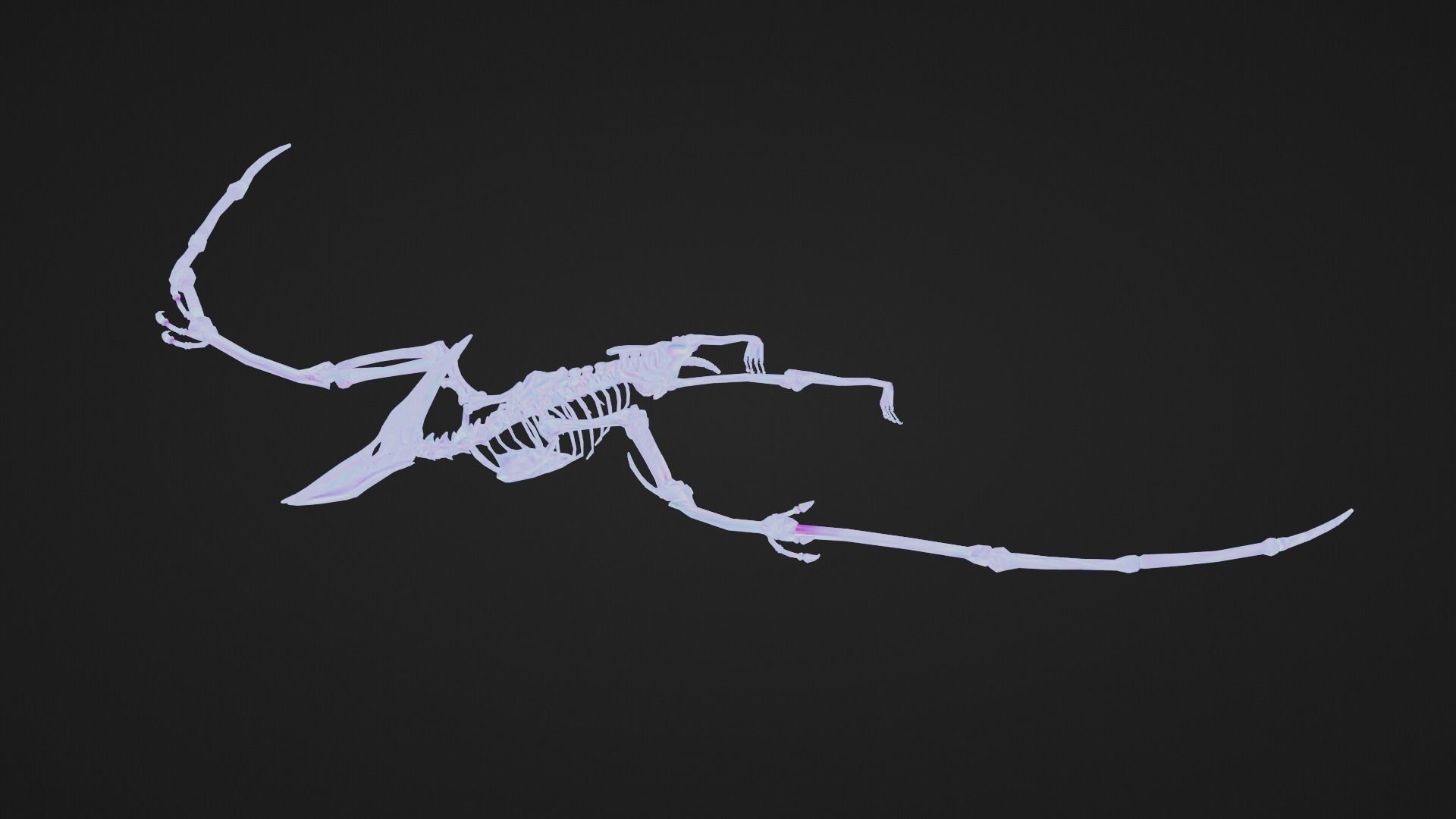 Realistic Ancient Reptilians Fossil - Pteranodon Low-poly 3D model_7