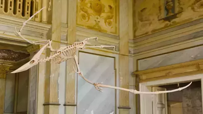 Realistic Ancient Reptilians Fossil - Pteranodon Low-poly 3D model
