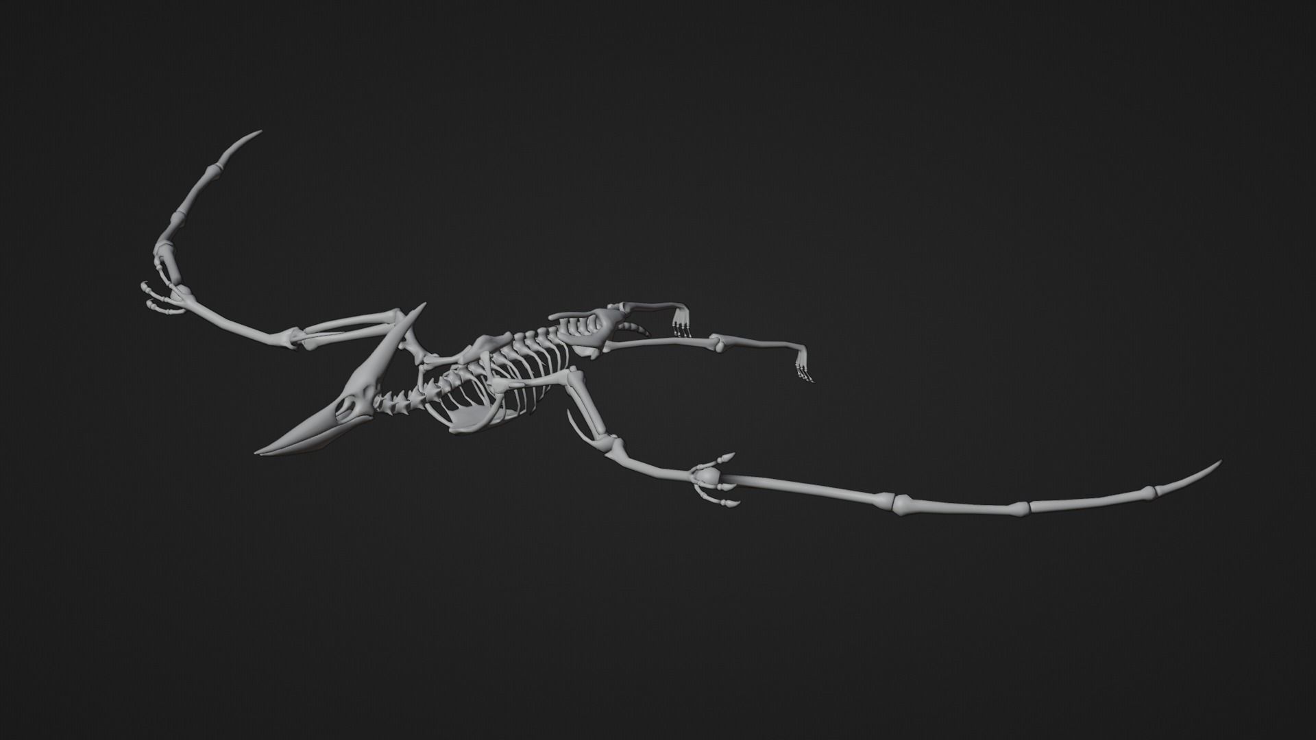 Realistic Ancient Reptilians Fossil - Pteranodon Low-poly 3D model_9