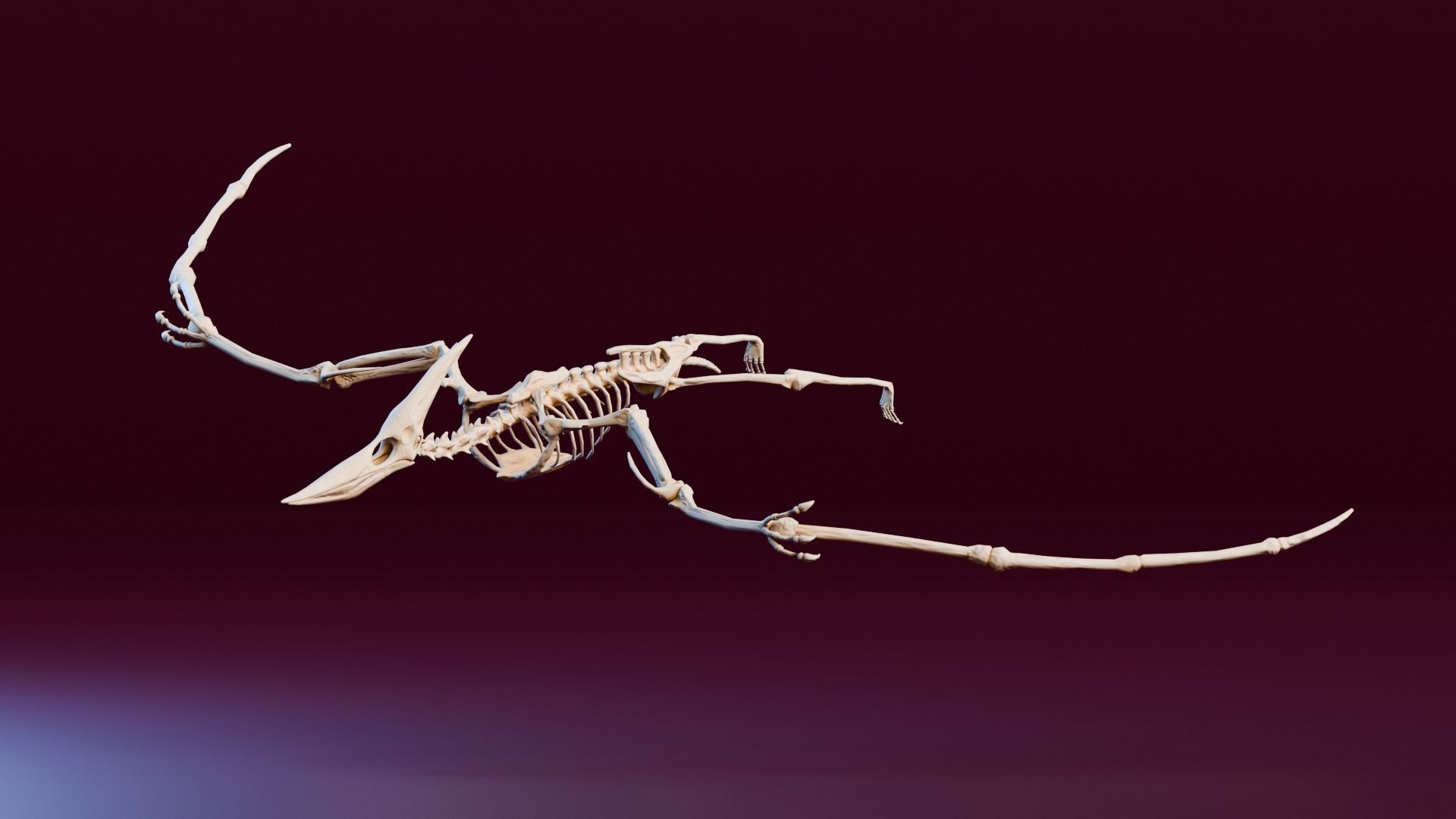 Realistic Ancient Reptilians Fossil - Pteranodon Low-poly 3D model_1