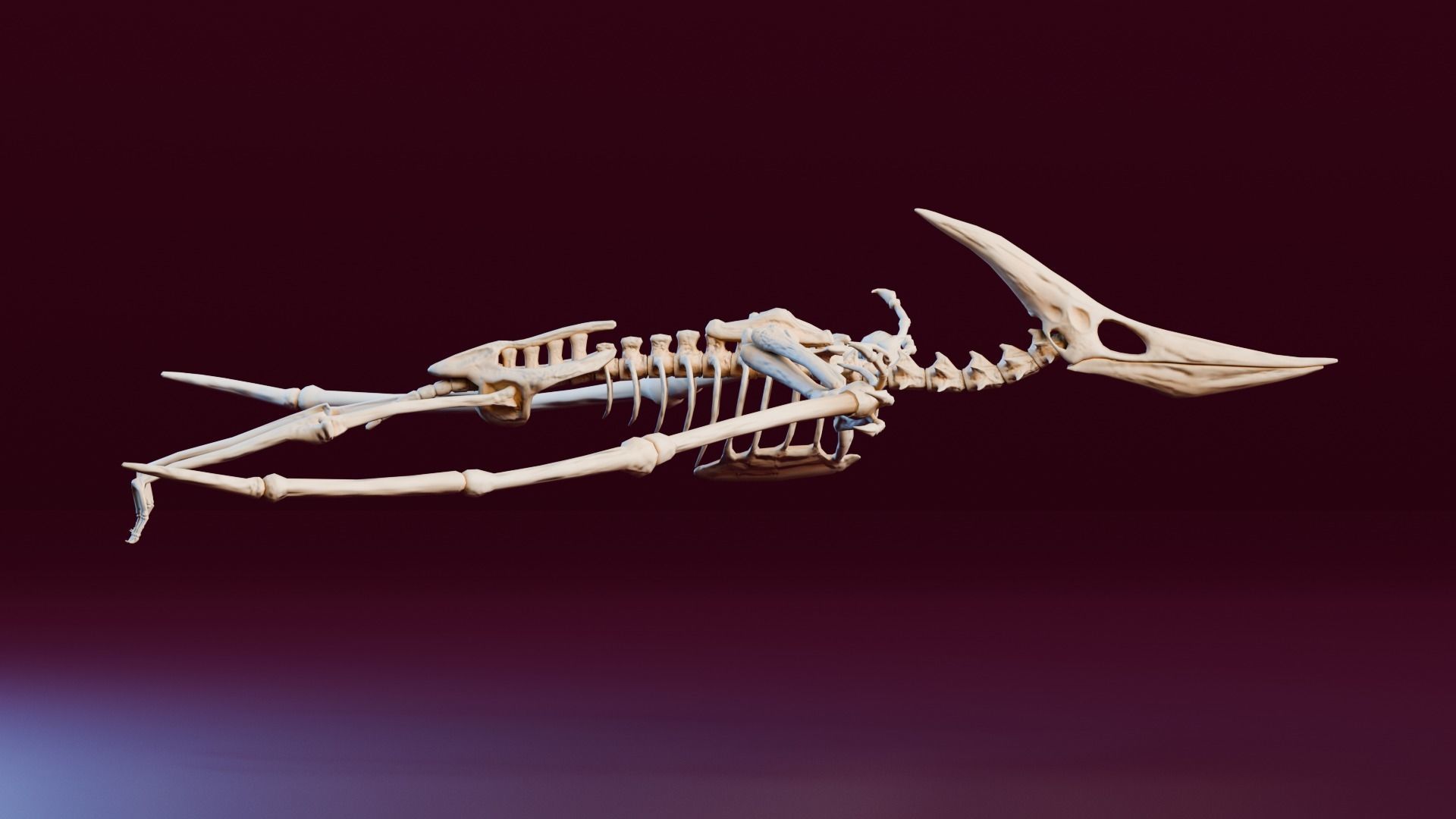 Realistic Ancient Reptilians Fossil - Pteranodon Low-poly 3D model_2