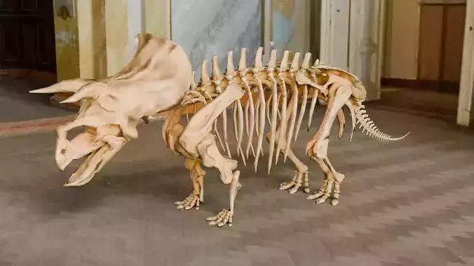 Realistic Ancient Reptilians Fossil - Triceratops Low-poly 3D model