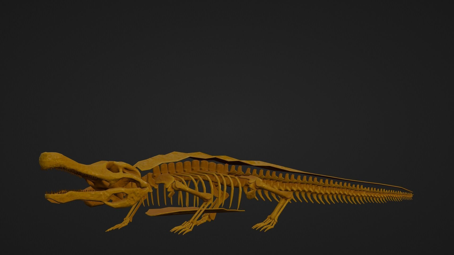 Realistic Ancient Reptilians Fossil - Sarcosuchus Low-poly 3D model_6