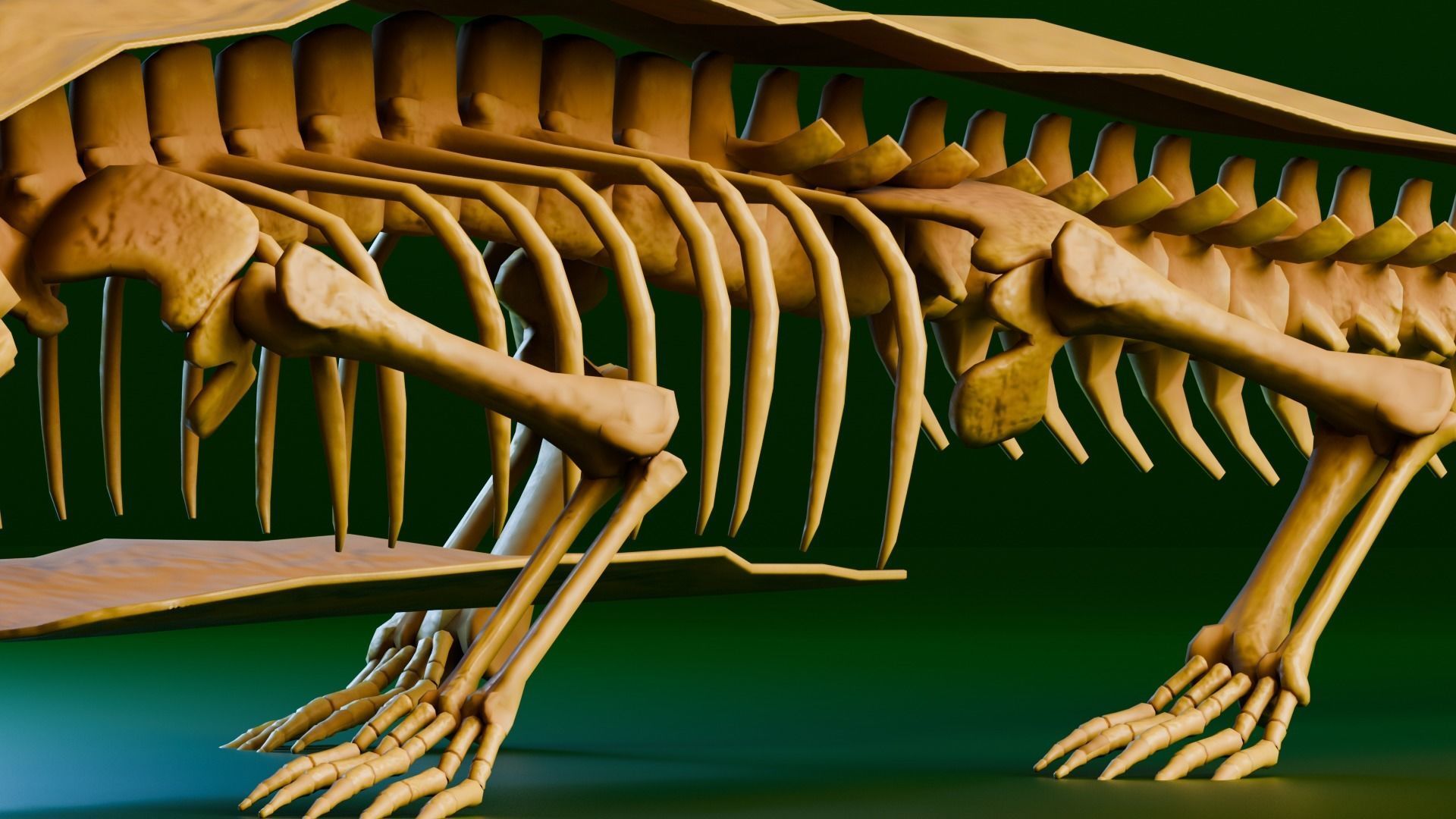 Realistic Ancient Reptilians Fossil - Sarcosuchus Low-poly 3D model_3