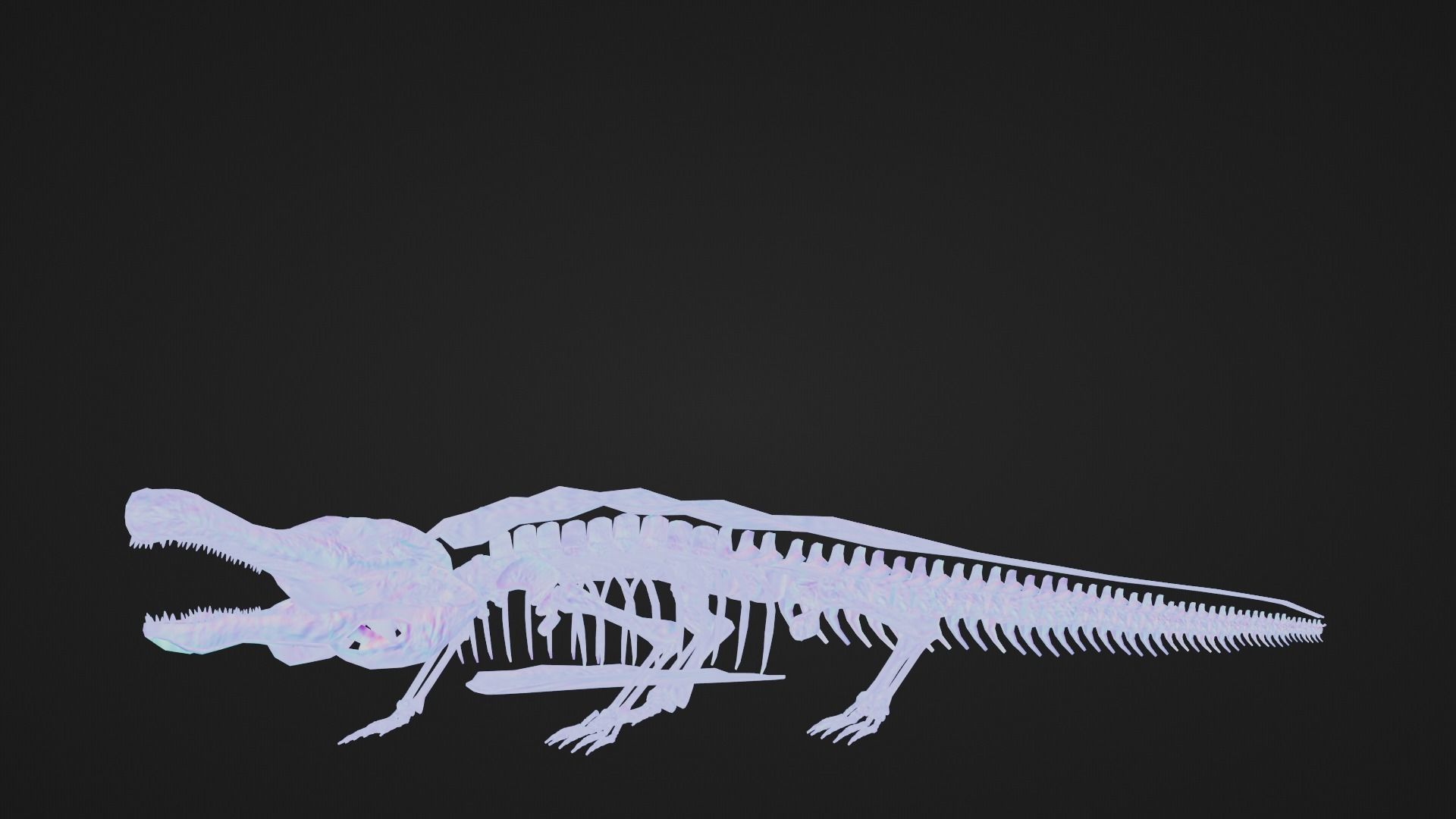 Realistic Ancient Reptilians Fossil - Sarcosuchus Low-poly 3D model_7