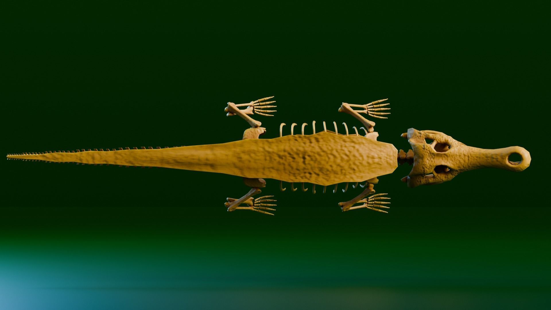 Realistic Ancient Reptilians Fossil - Sarcosuchus Low-poly 3D model_10