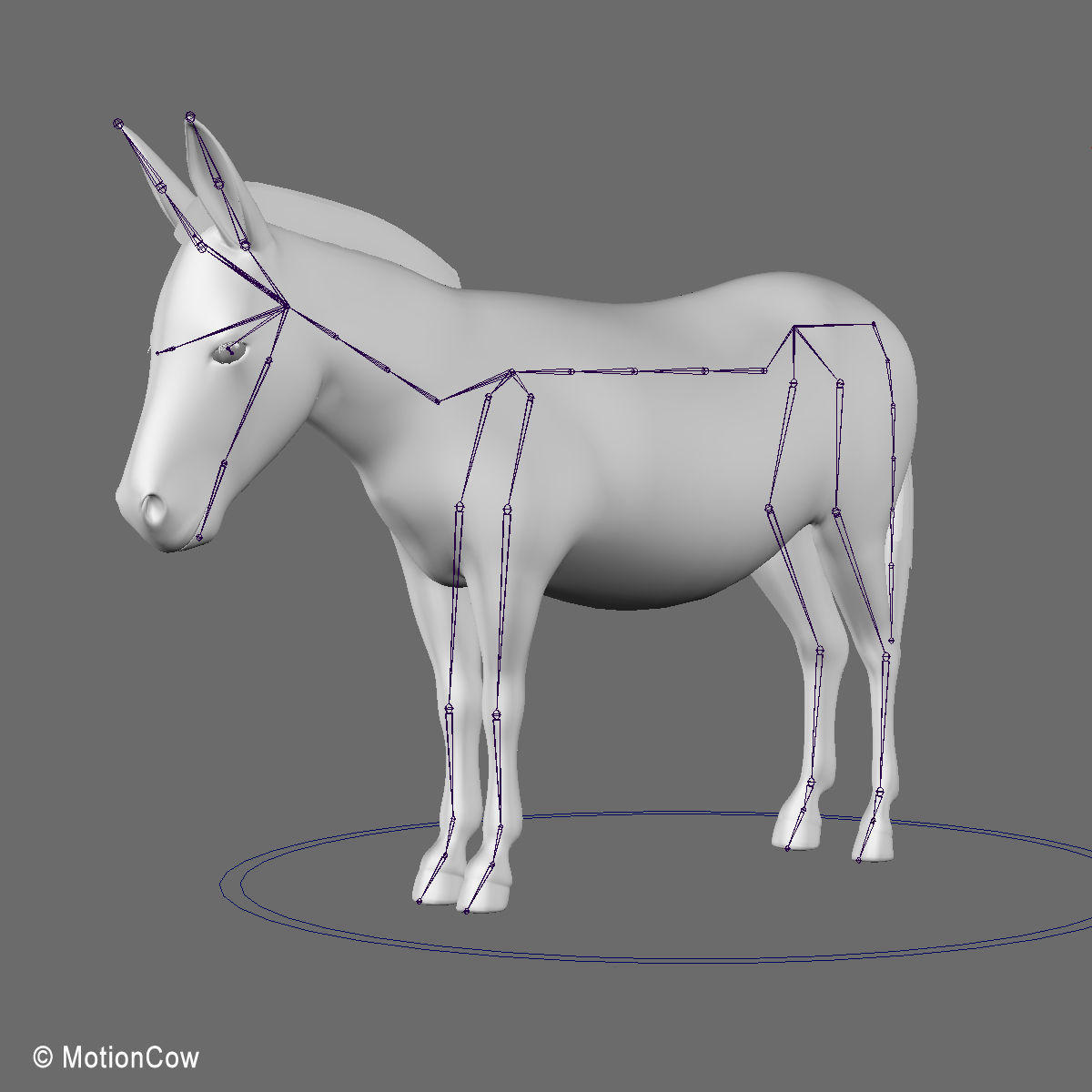 Donkey 3D model_23
