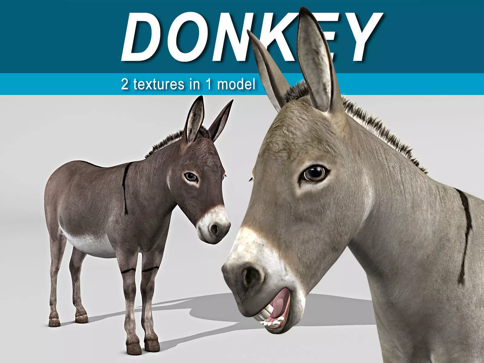 Donkey 3D model_0