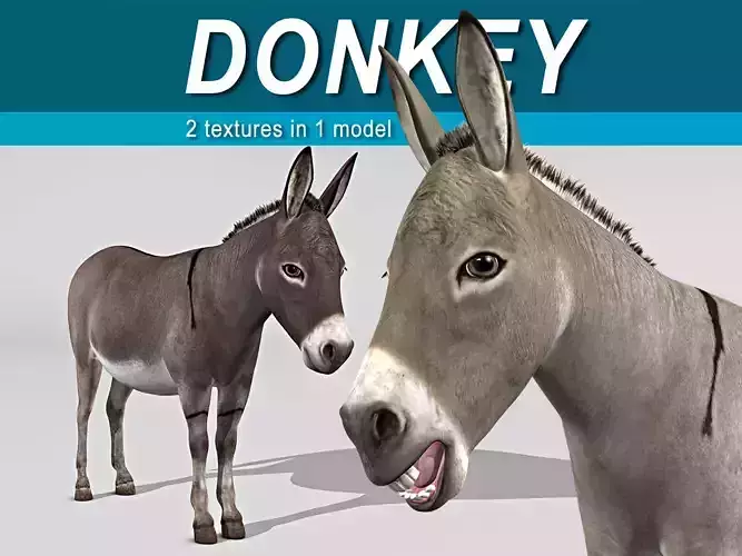 Donkey 3D model