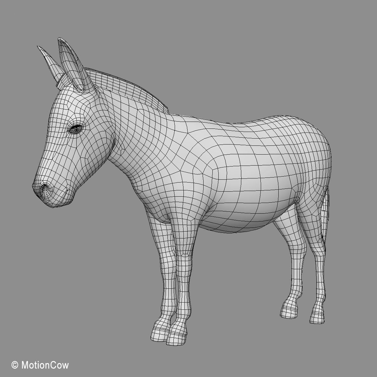 Donkey 3D model_21