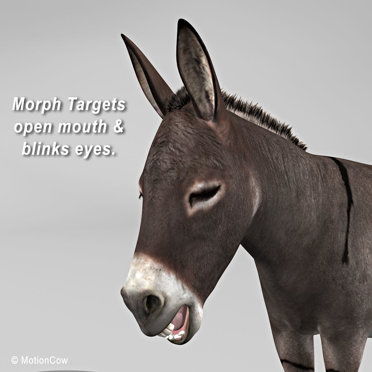 Donkey 3D model_20