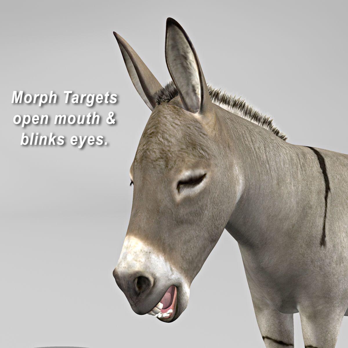 Donkey 3D model_10