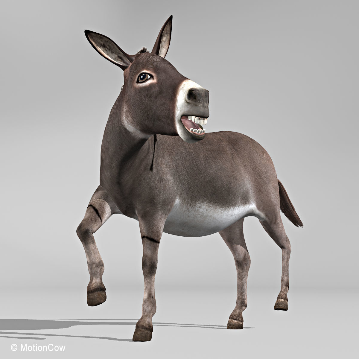 Donkey 3D model_18