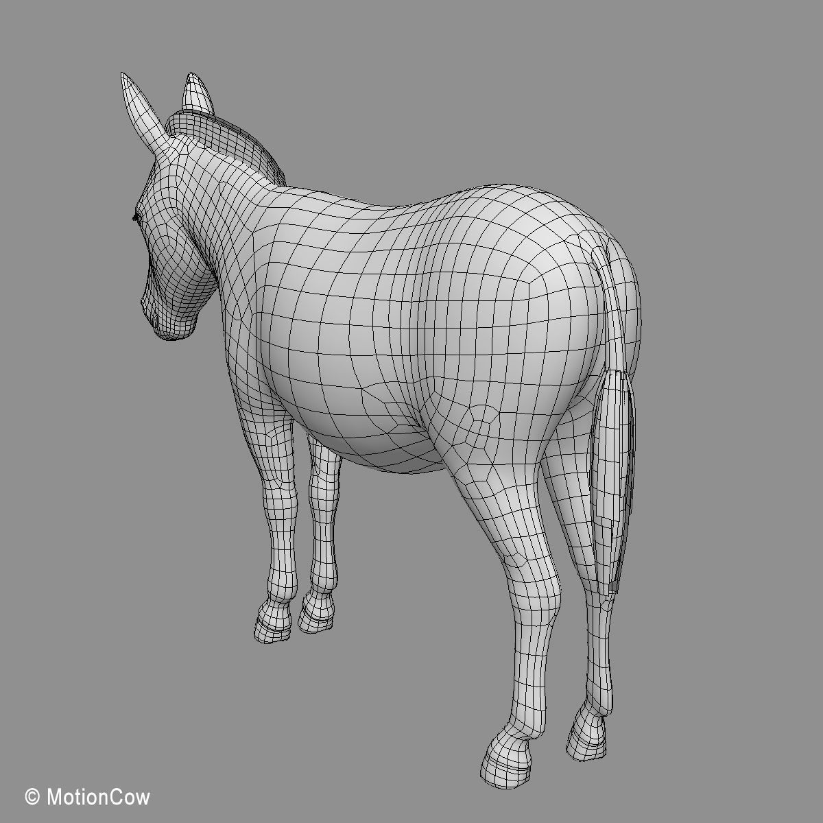 Donkey 3D model_22